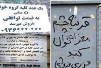 عراقی‌ها خریدار «کلیه» ایرانیان به قیمت دلار!