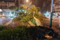 مصدومیت ۵۳ نفر در حوادث جوی روز گذشته / ۶ نفر فوت شدند