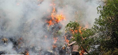 آتش در جنگل‌های مریوان| فعالین محیط زیست: اقدامات نهاد‌های دولتی بیشتر نمایشی بود