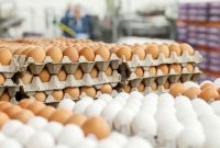 نقش دلالان در گرانی تخم مرغ چیست؟