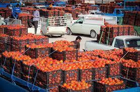 سبقت گوجه‌فرنگی از دلار