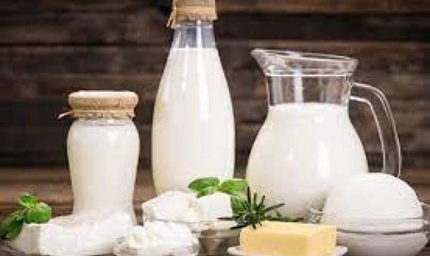 لبنیات هم از سفره مردم حذف شد