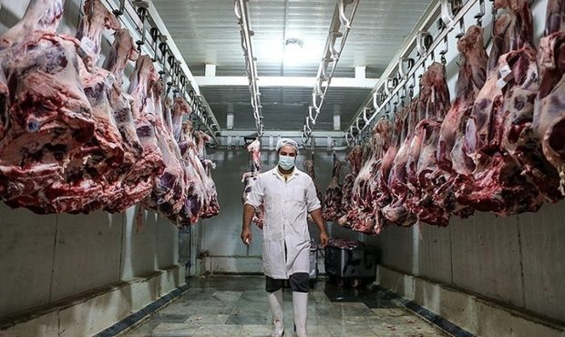 لعنت به گوشت، امان از تن ماهی!