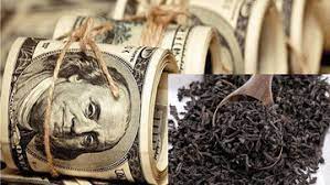 متهمان «دبش» کجایند؟ متهمان «دبش» کجایند؟