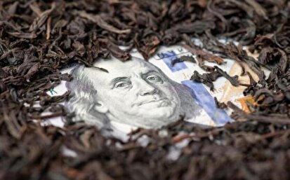 فساد چای دبش در همین دولت رخ داد و تلاش شد مسکوت بماند/ از پرونده چه خبر؟