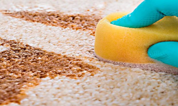 معرفی قویترین لکه بر فرش معرفی قویترین لکه بر فرش