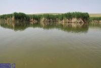 ۴۵ تالاب به کانون گردوغبار تبدیل شدند