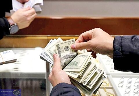 گلایه نماینده مجلس به کاهش ارزش پول ملی