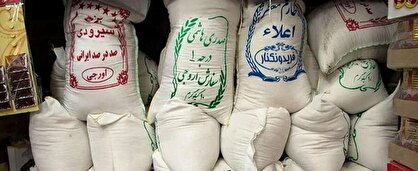 برنج ایرانی همچنان گران میشود؛ هر کیلو نزدیک به ۲۰۰ هزار تومان برنج ایرانی همچنان گران میشود؛ هر کیلو نزدیک به ۲۰۰ هزار تومان