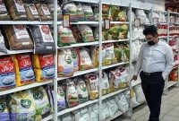 احتمال افزایش ۳۰ درصدی قیمت برنج/ چرا دولت در تنظیم بازار برنج تعلل می‌کند؟