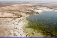 معاون سازمان زمین‌شناسی: مهمترین کانون گردوغبار فعلی تهران تالاب خشکیده صالحیه در استان البرز است