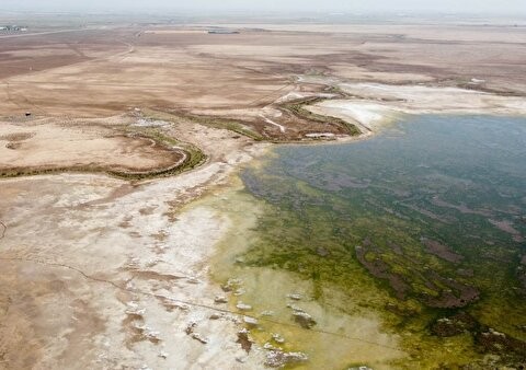 معاون سازمان زمینشناسی: مهمترین کانون گردوغبار فعلی تهران تالاب خشکیده صالحیه در استان البرز است معاون سازمان زمینشناسی: مهمترین کانون گردوغبار فعلی تهران تالاب خشکیده صالحیه در استان البرز است