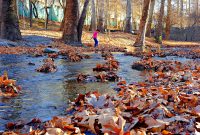 معرفی ده مکان تفریحی مشهد که دسترسی مترو دارند(دسترسی + تصاویر)