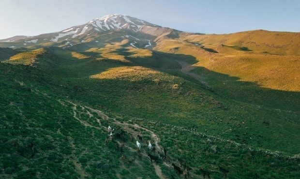 واگذاری ۸۰ هکتار از بهترین اراضی ملی دماوند با تخفیف ۵۰ درصدی! واگذاری ۸۰ هکتار از بهترین اراضی ملی دماوند با تخفیف ۵۰ درصدی!