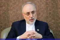 صالحی: توافق ایران و آژانس فینفسه مثبت و رو به جلو است صالحی: توافق ایران و آژانس فینفسه مثبت و رو به جلو است