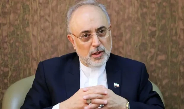 صالحی: توافق ایران و آژانس فینفسه مثبت و رو به جلو است صالحی: توافق ایران و آژانس فینفسه مثبت و رو به جلو است