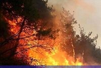 استاندار مازندران: آتش‌سوزی جنگل‌های الیت به کمک هواپیماهای ترکیه  کنترل شد؛ لکه‌گیری در حال انجام است