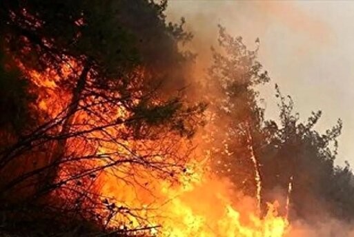 استاندار مازندران: آتش‌سوزی جنگل‌های الیت به کمک هواپیماهای ترکیه  کنترل شد؛ لکه‌گیری در حال انجام است