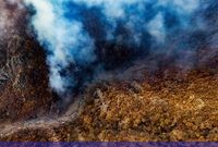 ورود به جنگل‌های هیرکانی، زاگرس و ارسباران تا بارش مؤثر، ممنوع شد