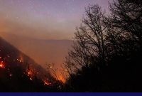 عامل آتش‌سوزی جنگل‌های هیرکانی در بابل دستگیر شد