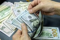 آماری دردناک از واردات؛ میوه‌های استوایی در صدر کالاهای اساسی!