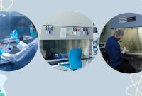 بهترین هود کدام است؟ مقایسه جامع انواع هود ها