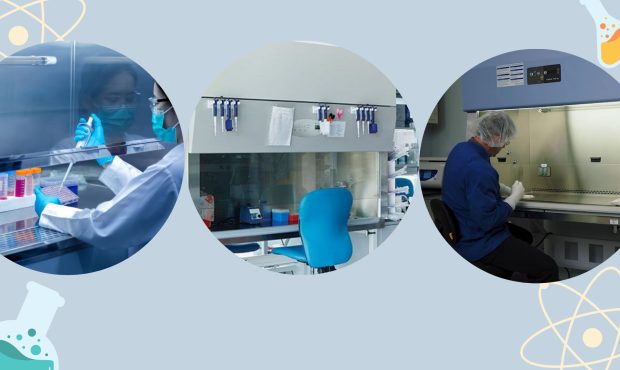 بهترین هود کدام است؟ مقایسه جامع انواع هود ها