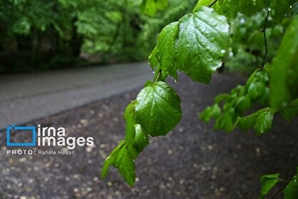 هواشناسی ۱۴۰۵/۰۲/۱۵/ رگبار باران و رعدوبرق در ۱۴ استان هواشناسی ۱۴۰۵/۰۲/۱۵/ رگبار باران و رعدوبرق در ۱۴ استان